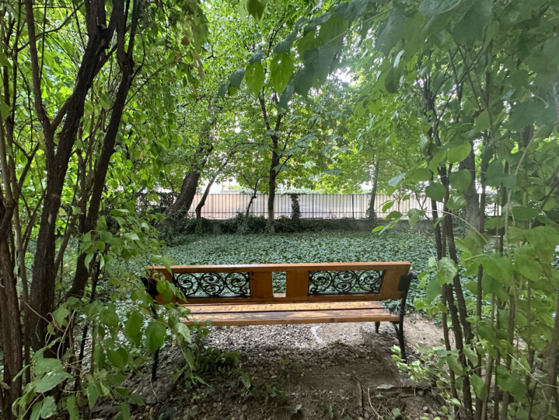 3 camere cu personalitate, pe strada Toamnei