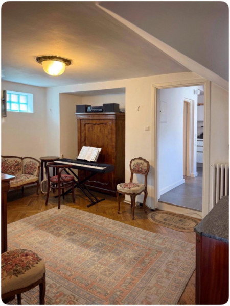 Vilă cu 3 apartamente independente si gradină mare în Cotroceni