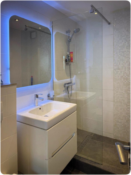 Vilă cu 3 apartamente independente si gradină mare în Cotroceni