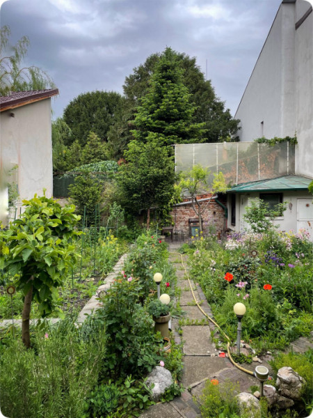 Vilă cu 3 apartamente independente si gradină mare în Cotroceni