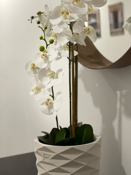 Cotroceni Gradina Botanică apartament elegant cu tersă generoasă