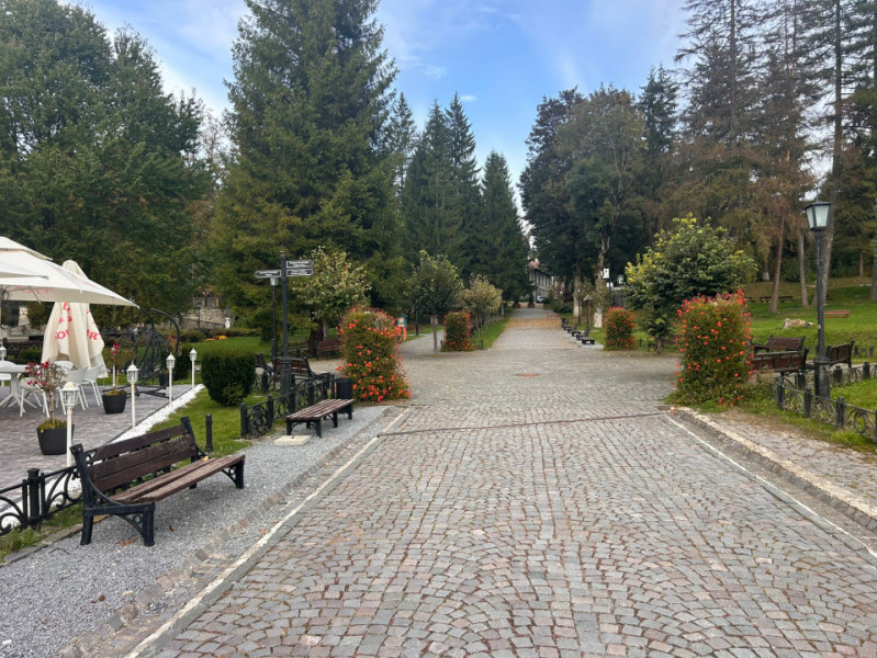 De vânzare hotel Borsec