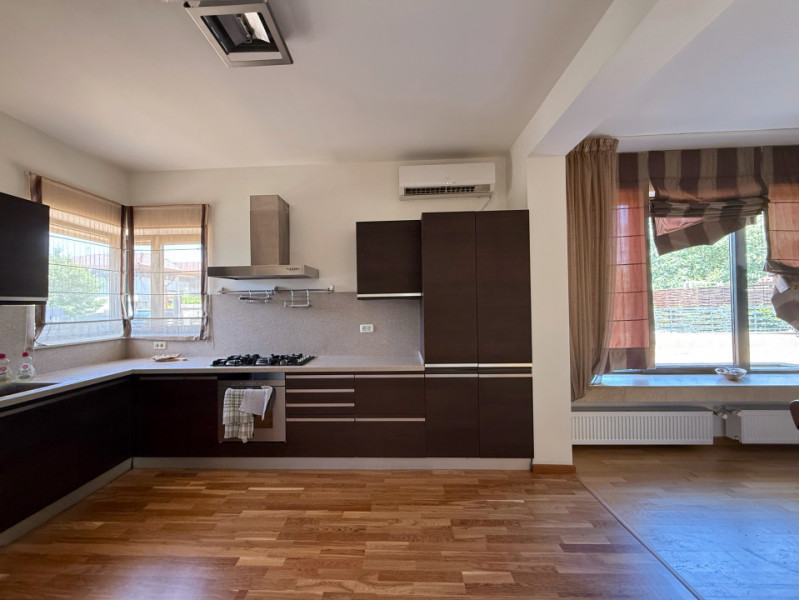 Vila ideală în Swan Lake  Village Cernica– confort și siguranță